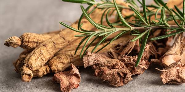 Integratore di Ginseng Ginsengargania Argania