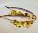 Olio di pesce omega 3